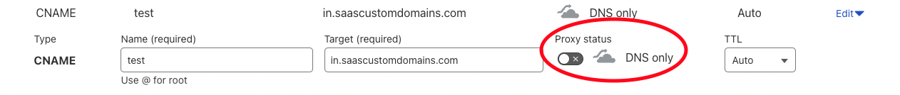 DNS records should have the DNS Only option enabled.